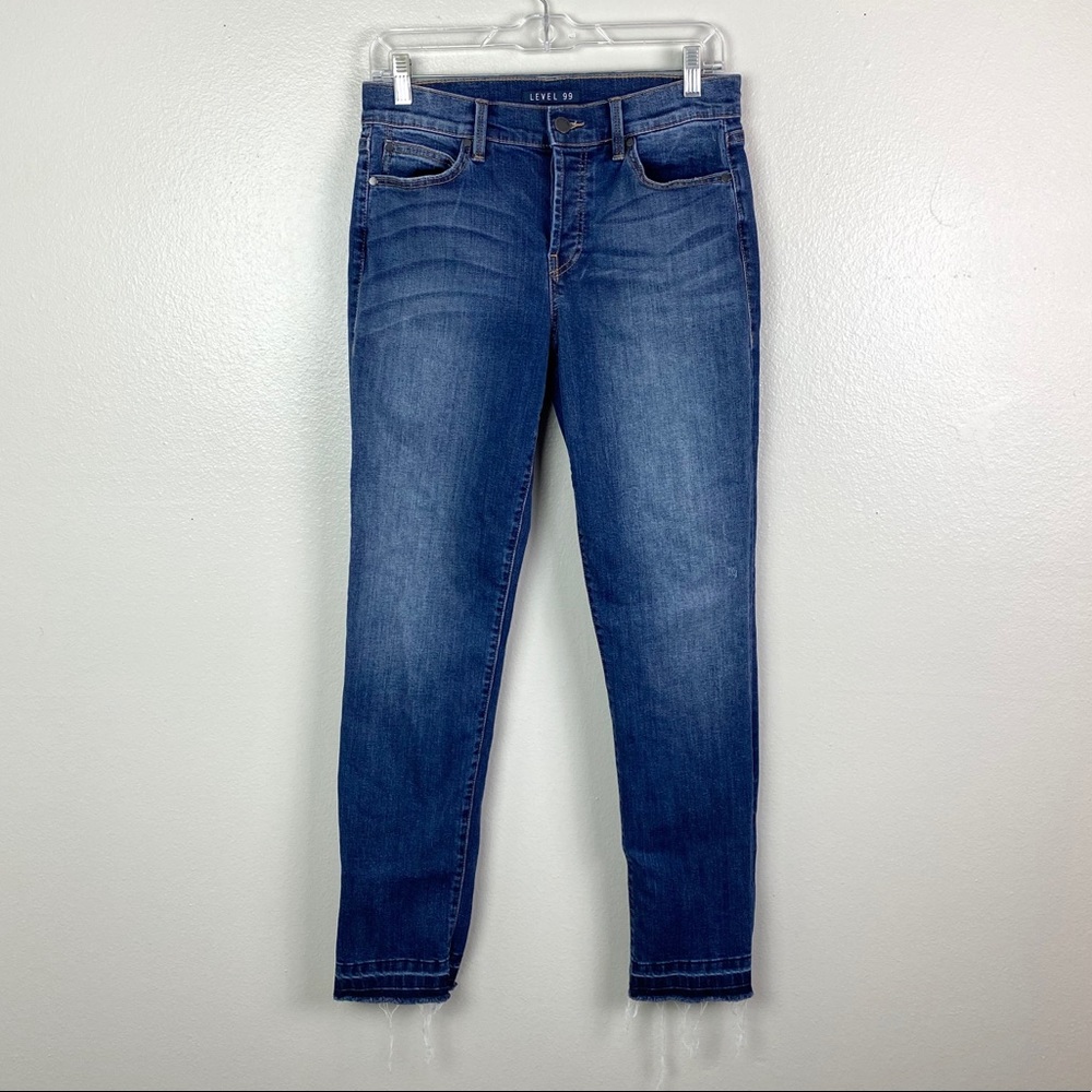 Level 99 | Frayed Hem Skinny Button Fly Jeans 27
